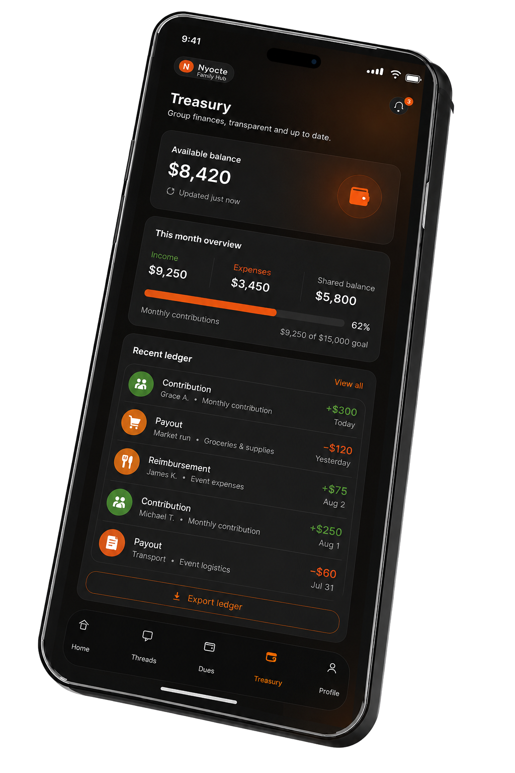 Nyocte Treasury showing group balance, monthly overview, and recent transactions